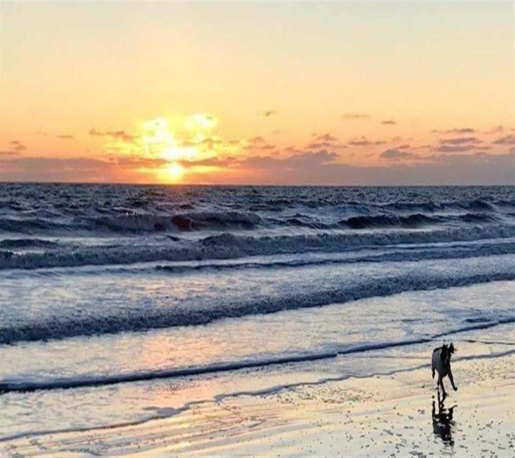 فيلا Sea Breeze بريدلينغتون المظهر الخارجي الصورة